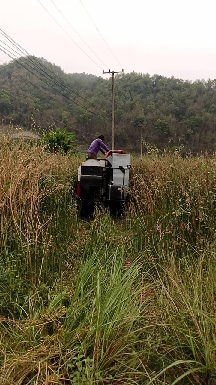 ภาพประกอบที่ 5