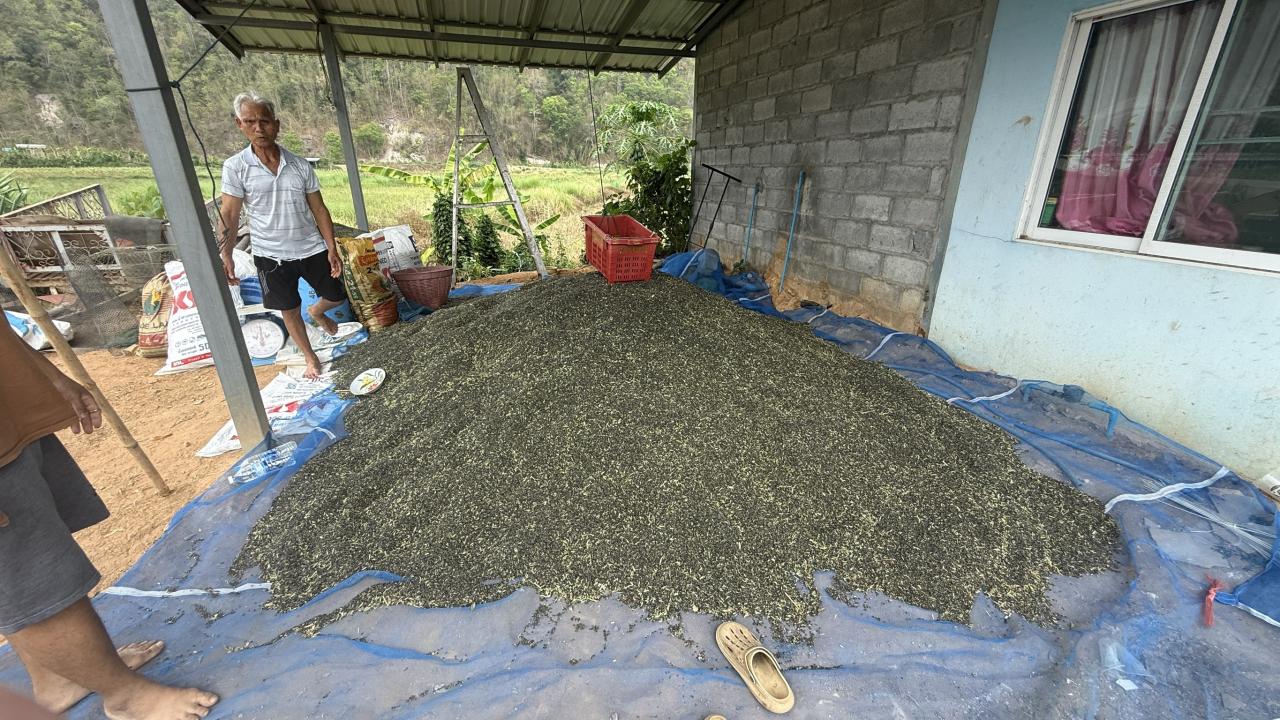 ภาพประกอบที่ 6