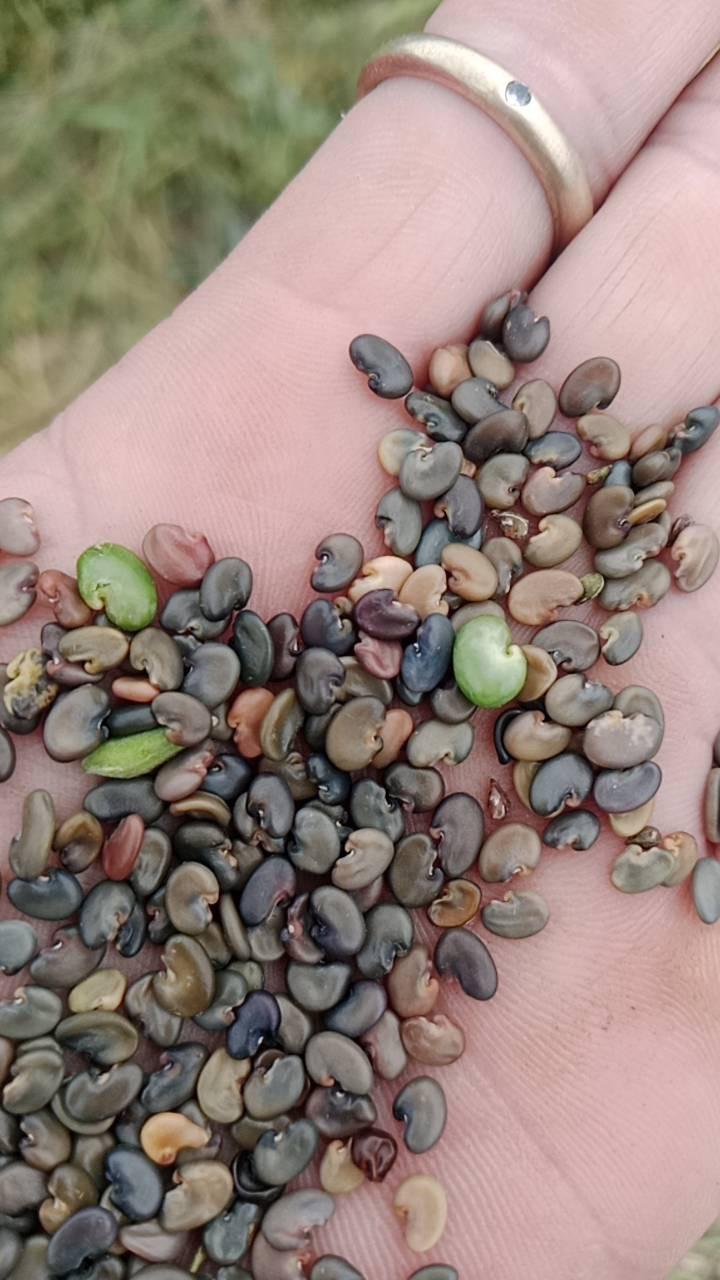 ภาพประกอบที่ 7