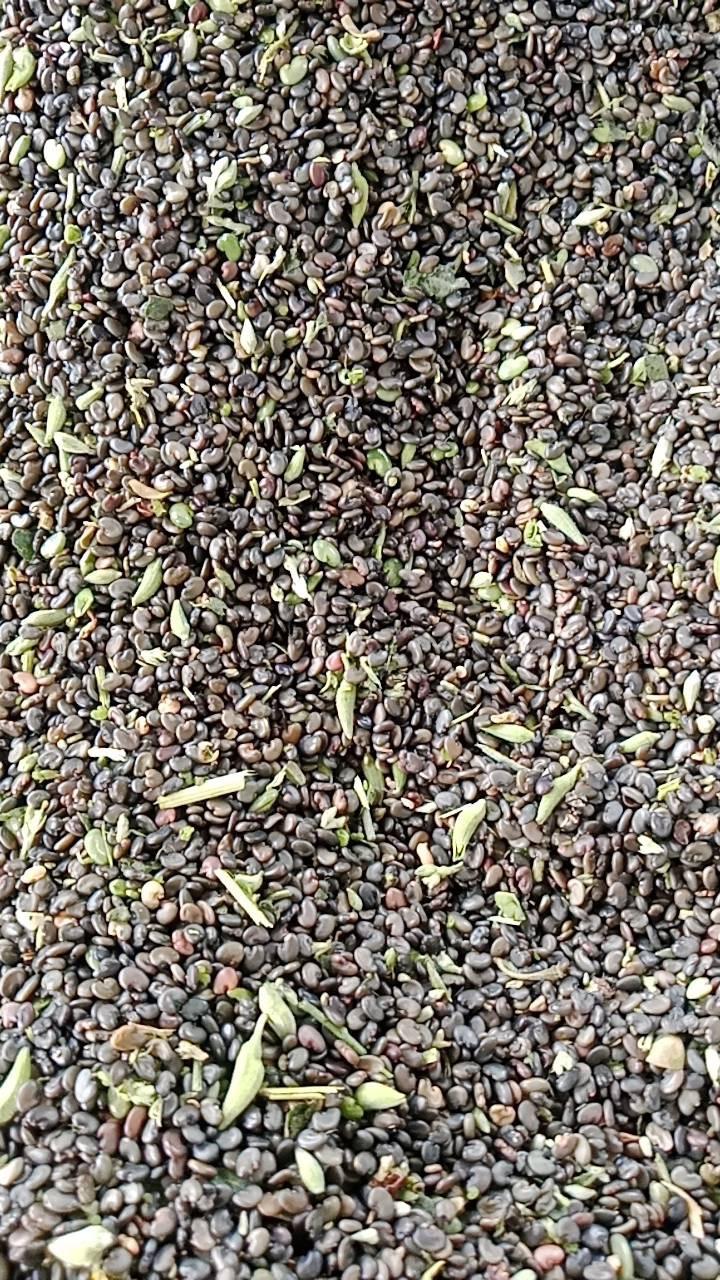 ภาพประกอบที่ 8