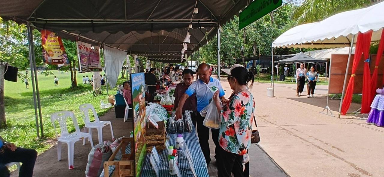 ภาพประกอบที่ 15