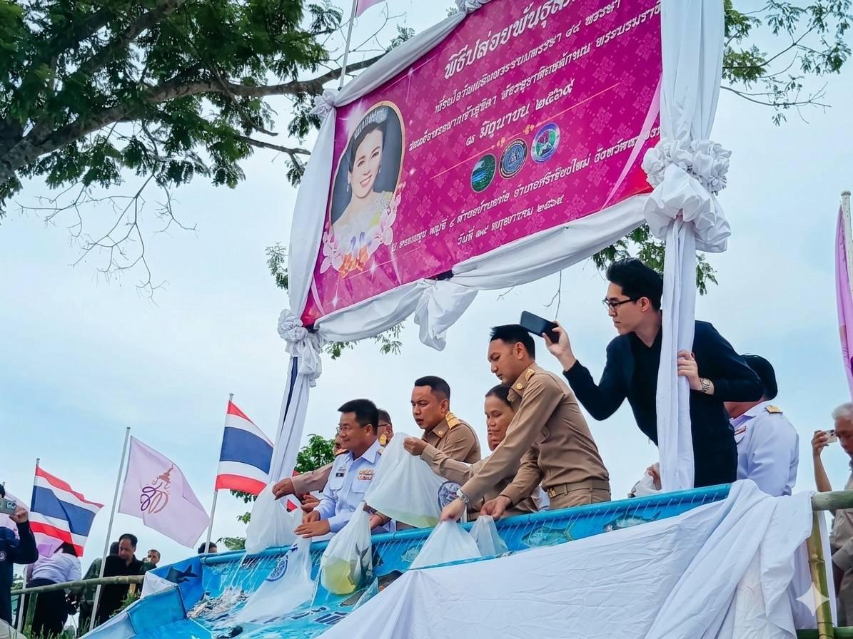 ภาพประกอบที่ 2
