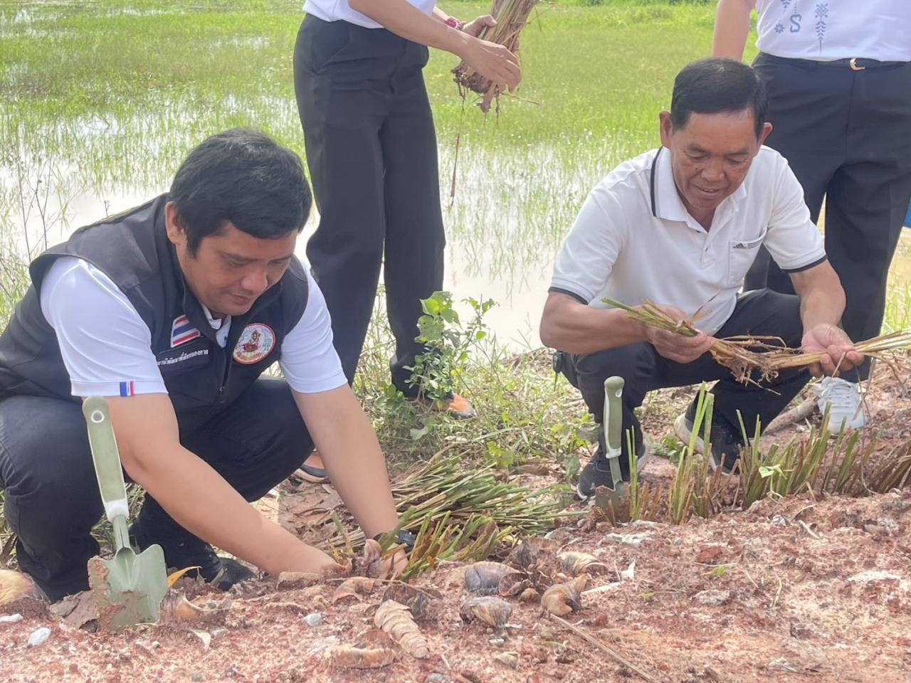 ภาพประกอบที่ 3