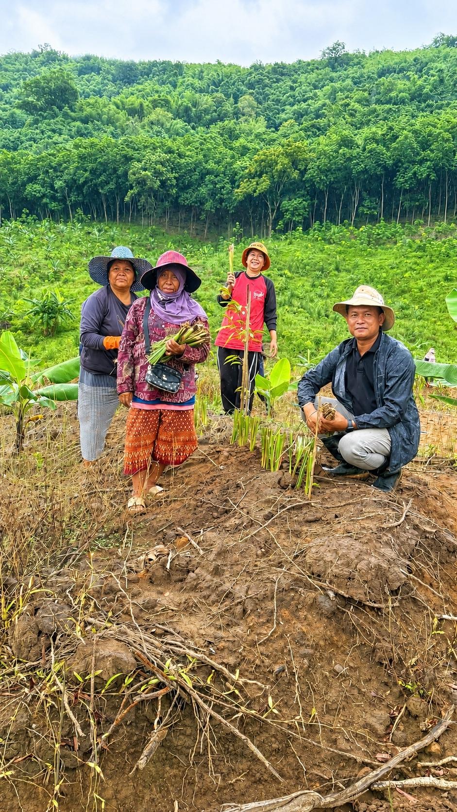 ภาพประกอบที่ 1