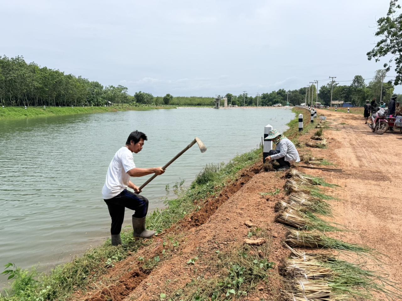 ภาพประกอบที่ 8
