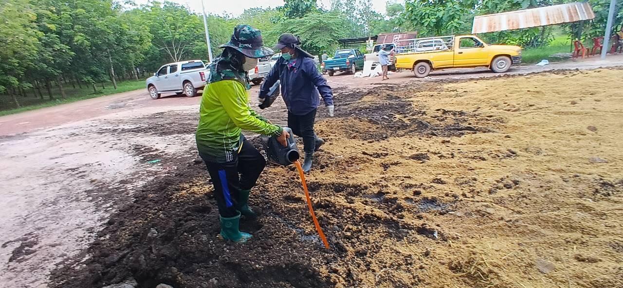 ภาพประกอบที่ 24