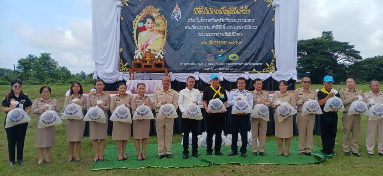 ภาพประกอบที่ 10