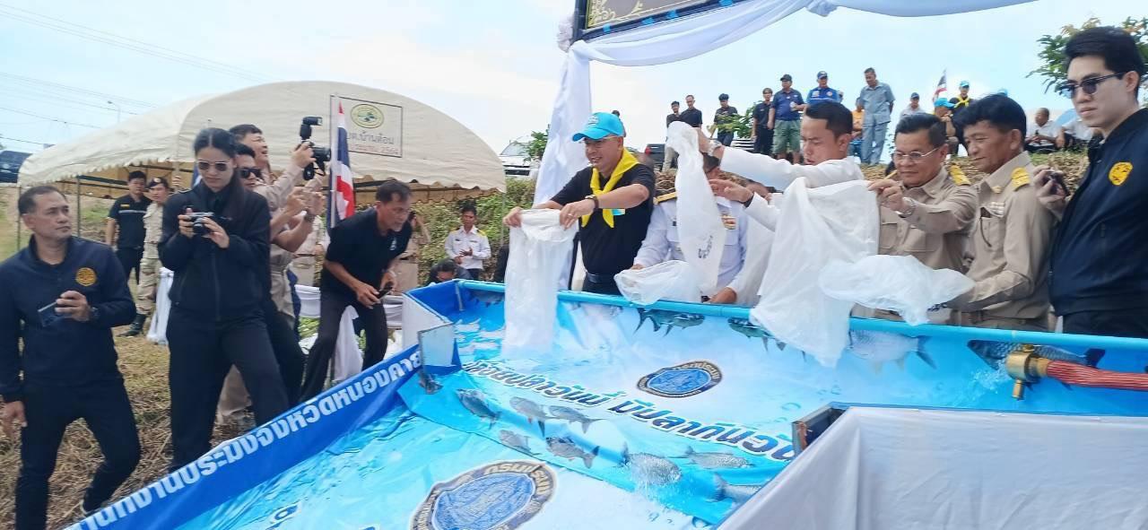 ภาพประกอบที่ 11