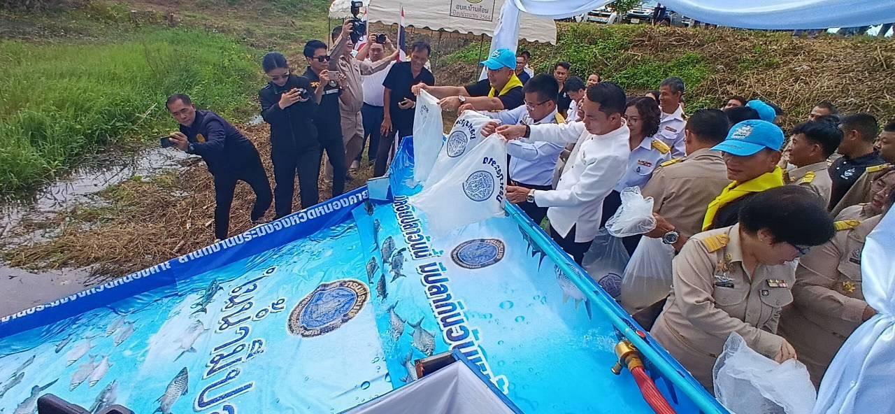 ภาพประกอบที่ 12