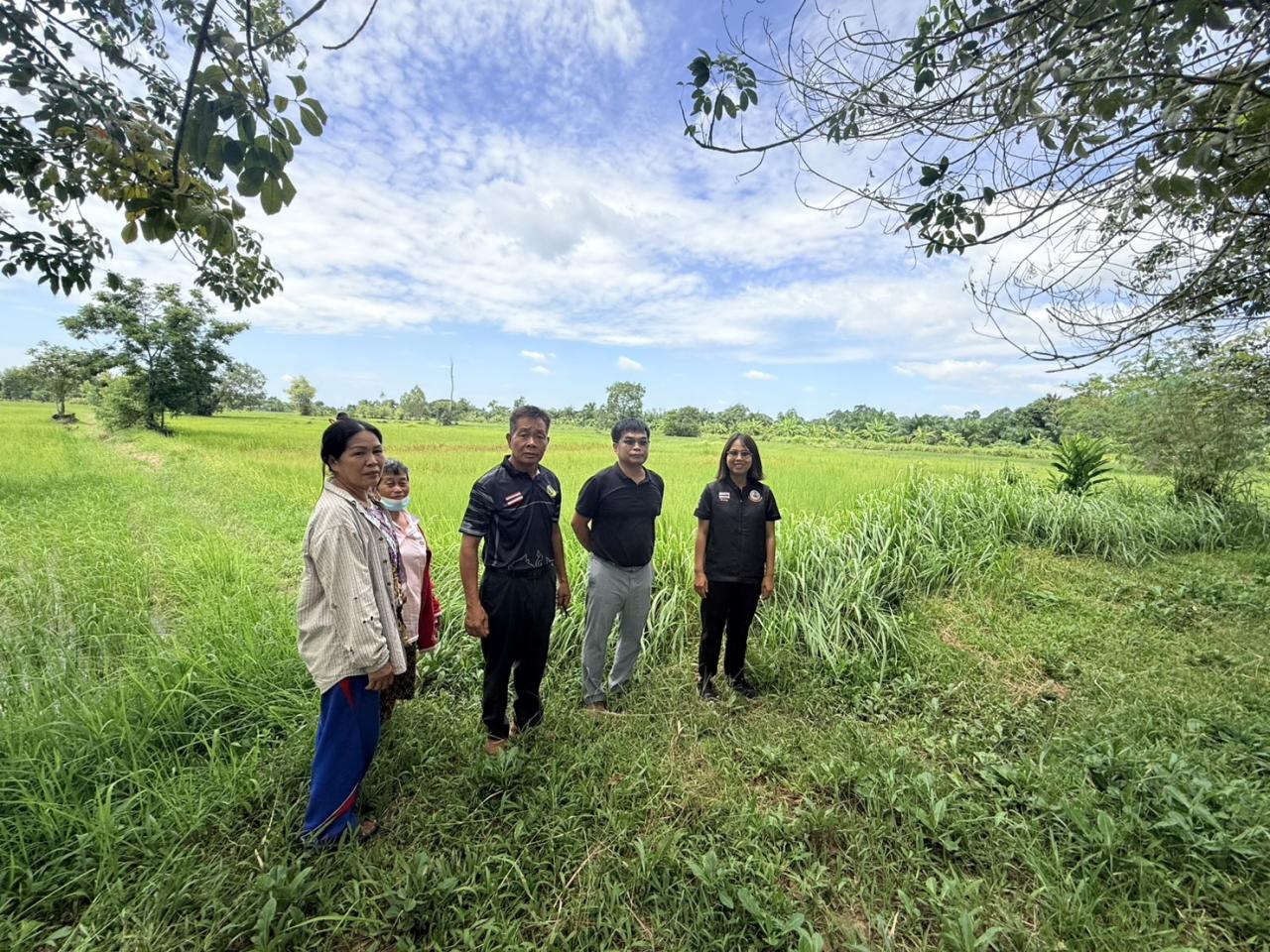 ภาพประกอบที่ 18