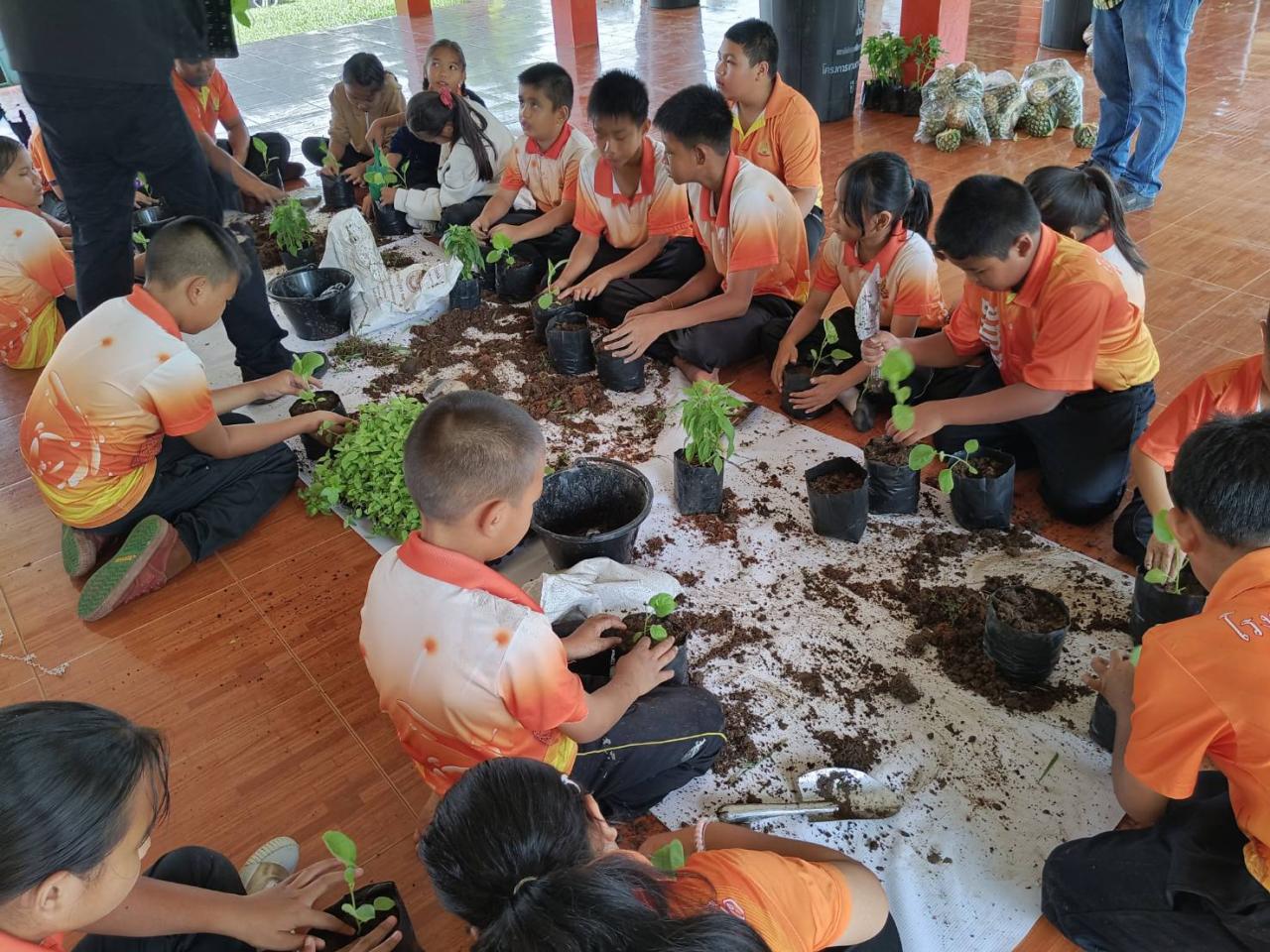 ภาพประกอบที่ 12
