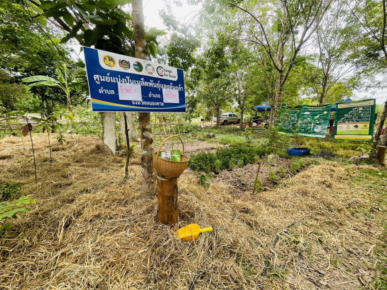 ภาพประกอบที่ 7