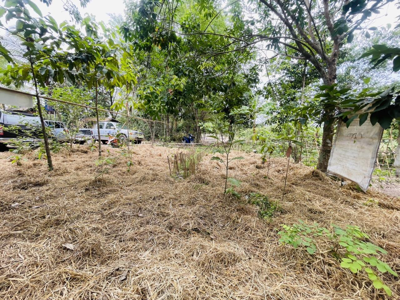 ภาพประกอบที่ 11