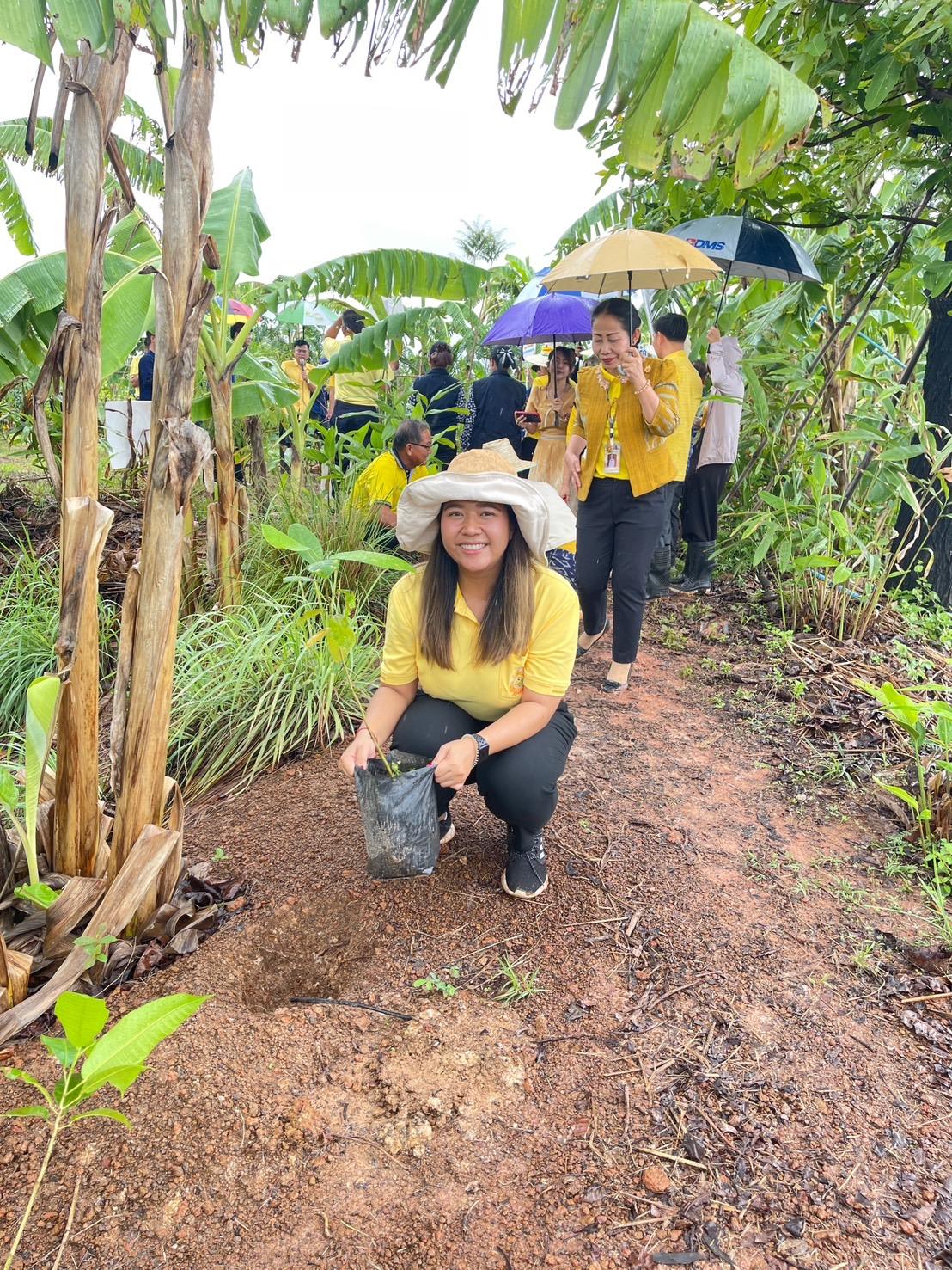 ภาพประกอบที่ 10