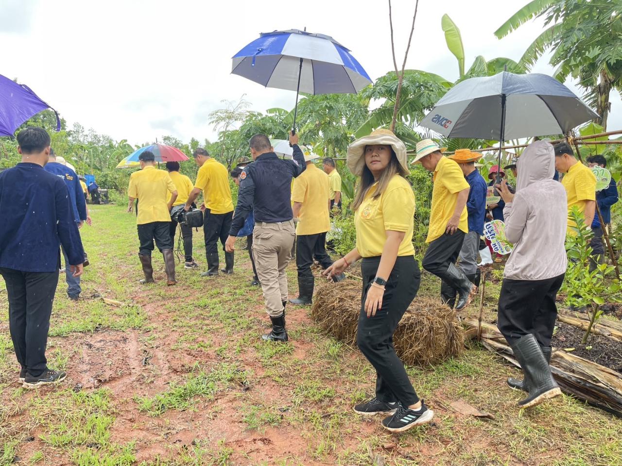 ภาพประกอบที่ 15