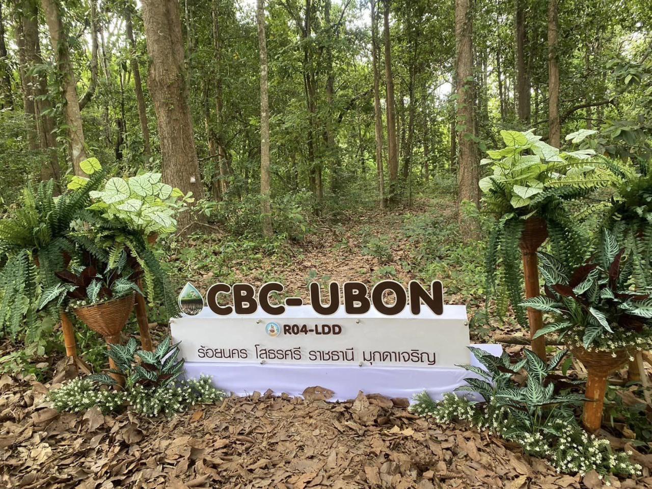 ภาพประกอบที่ 3