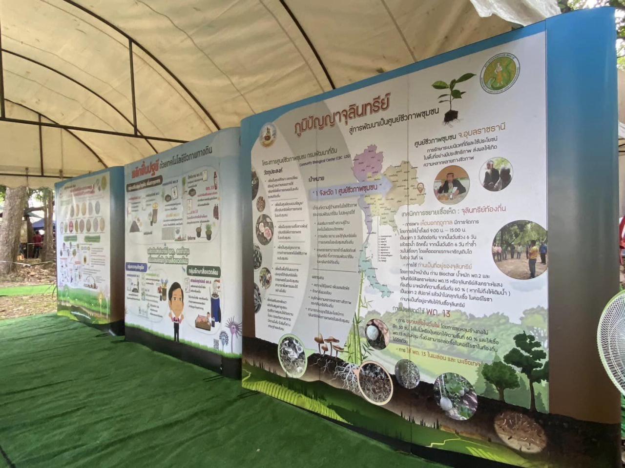 ภาพประกอบที่ 5