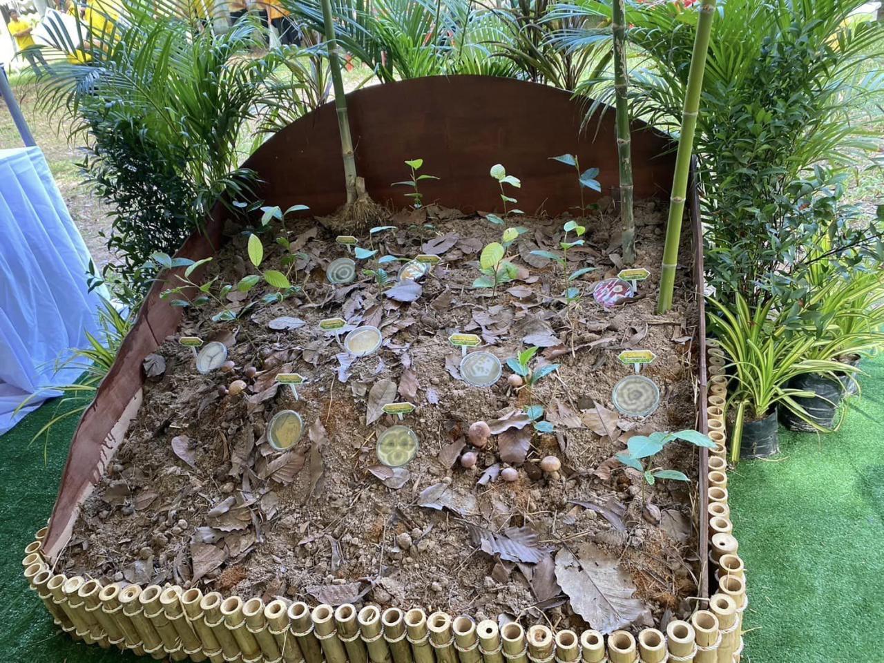 ภาพประกอบที่ 11