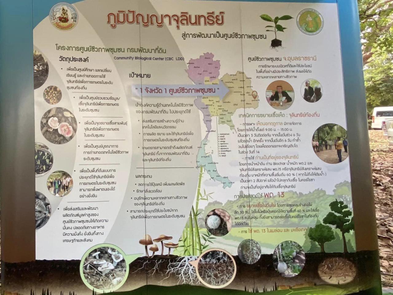 ภาพประกอบที่ 12