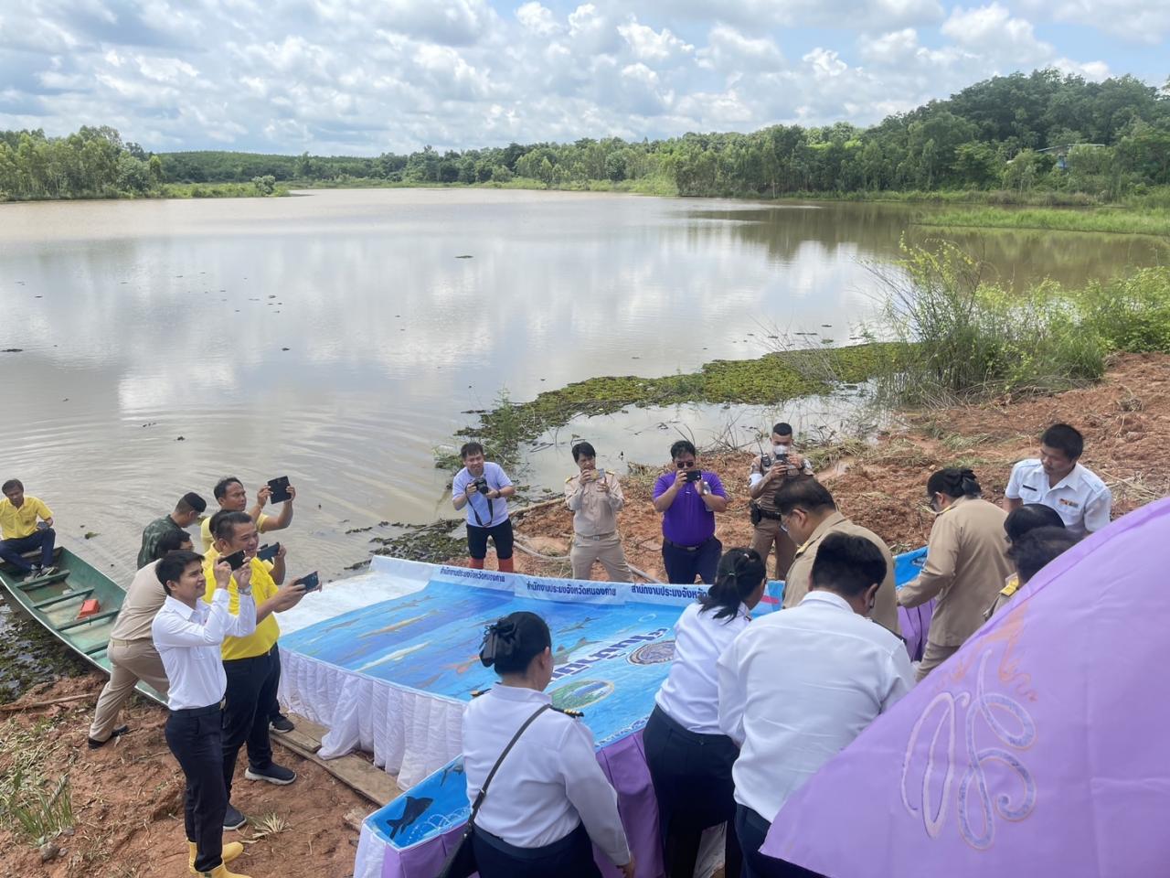 ภาพประกอบที่ 11