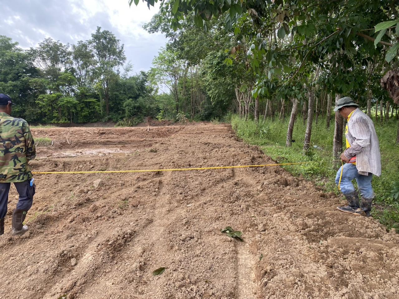 ภาพประกอบที่ 24