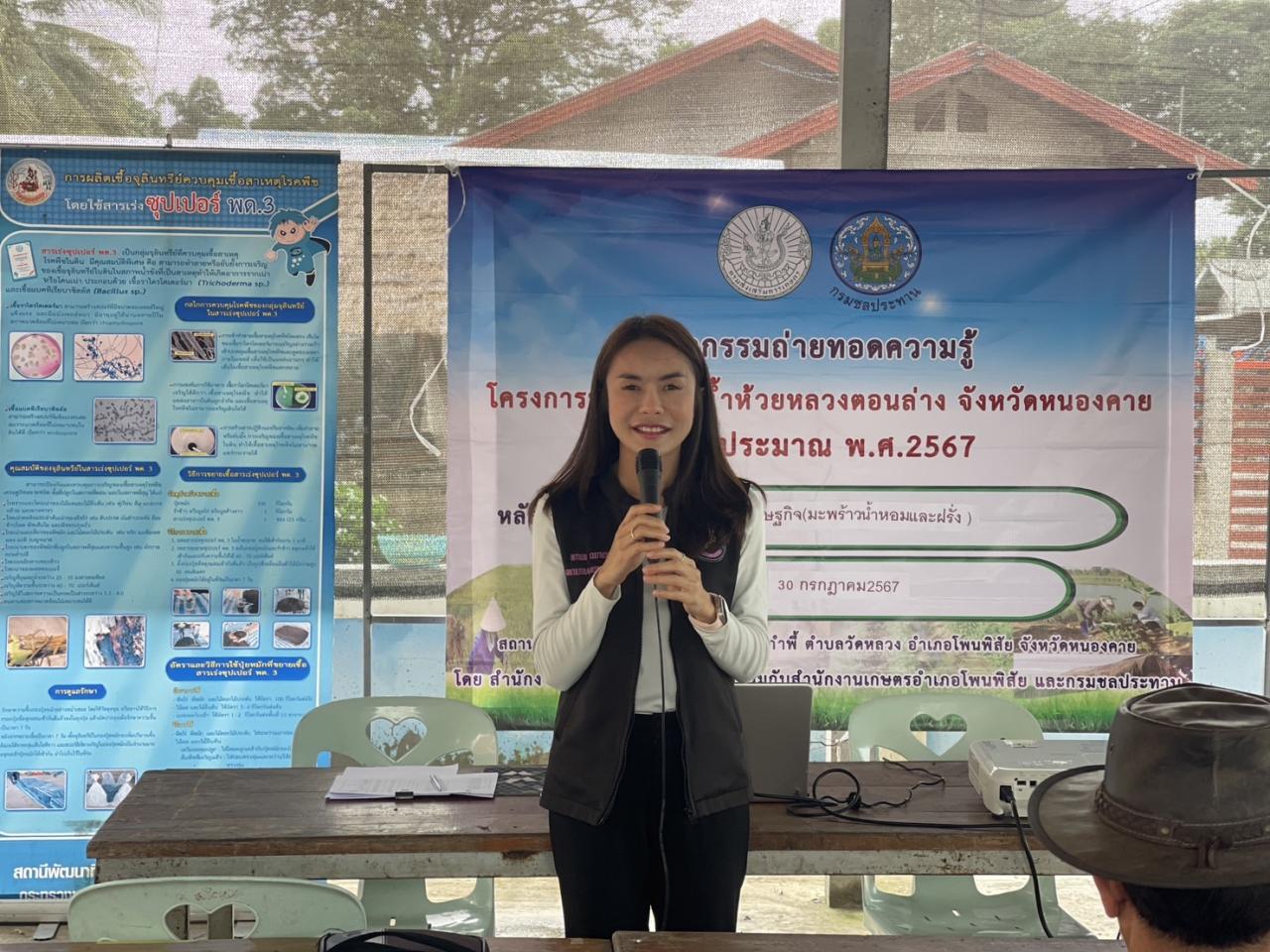 ภาพประกอบที่ 3