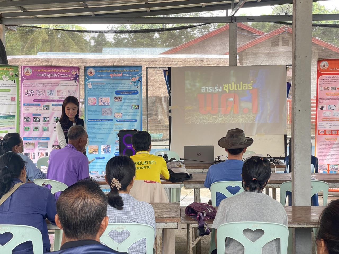 ภาพประกอบที่ 11