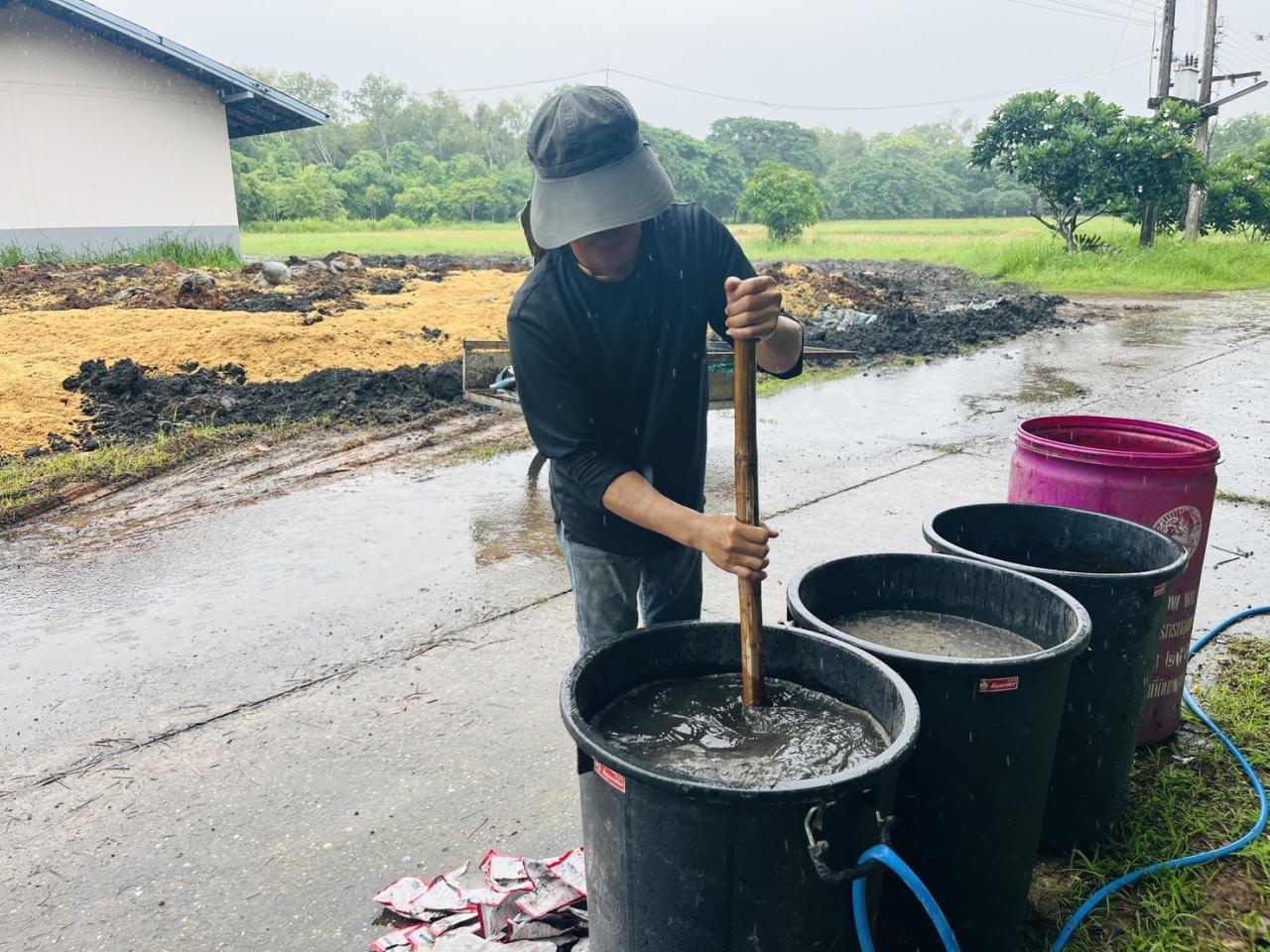 ภาพประกอบที่ 1