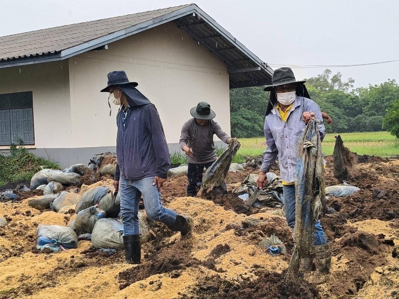 ภาพประกอบที่ 8