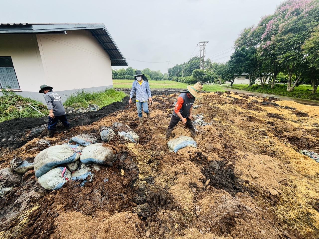 ภาพประกอบที่ 9