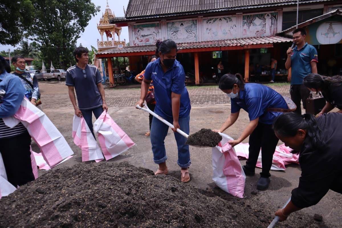 ภาพประกอบที่ 12