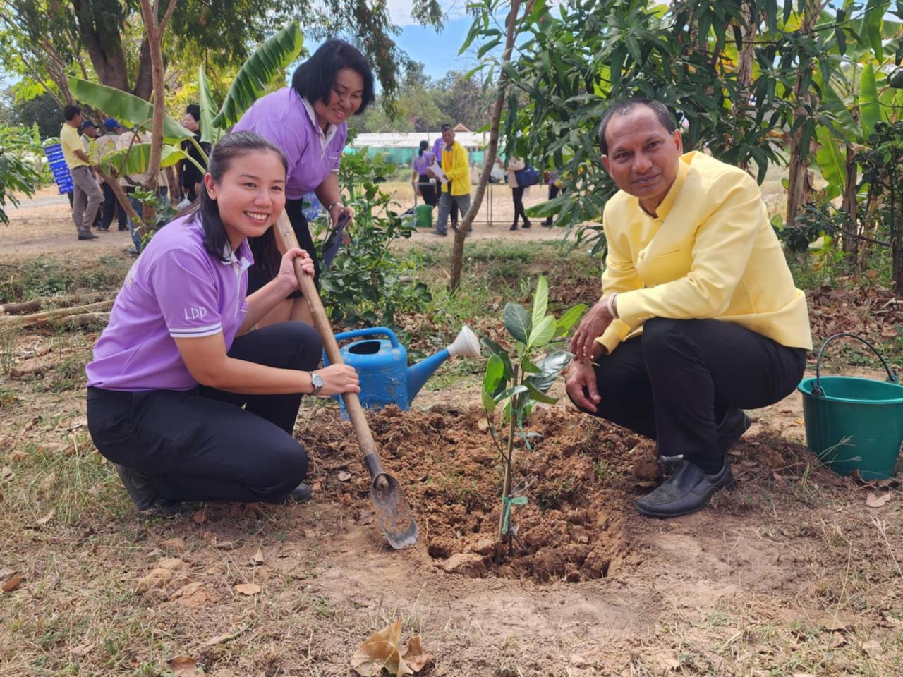 ภาพประกอบที่ 7