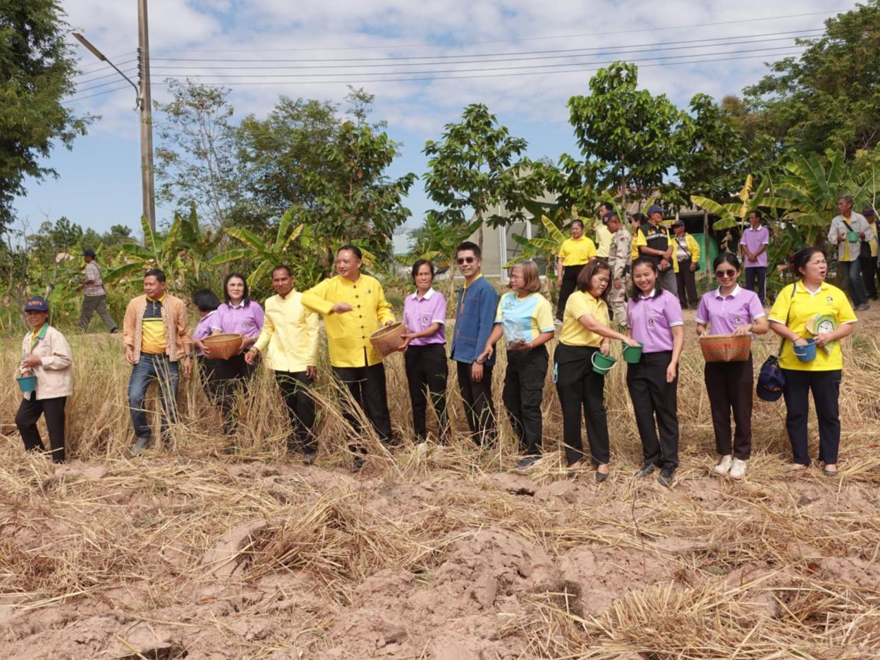 ภาพประกอบที่ 11