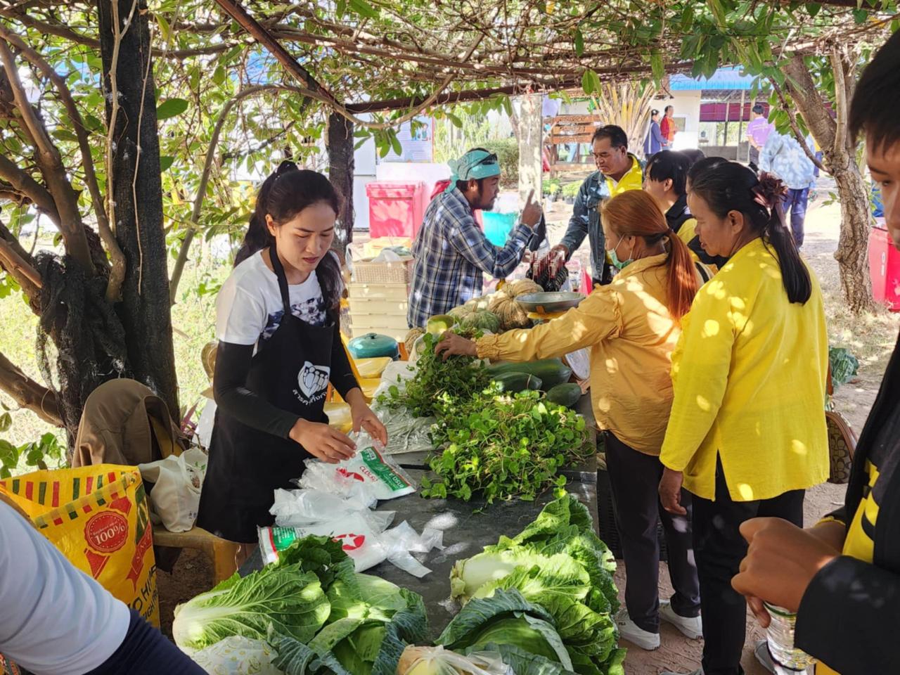 ภาพประกอบที่ 10