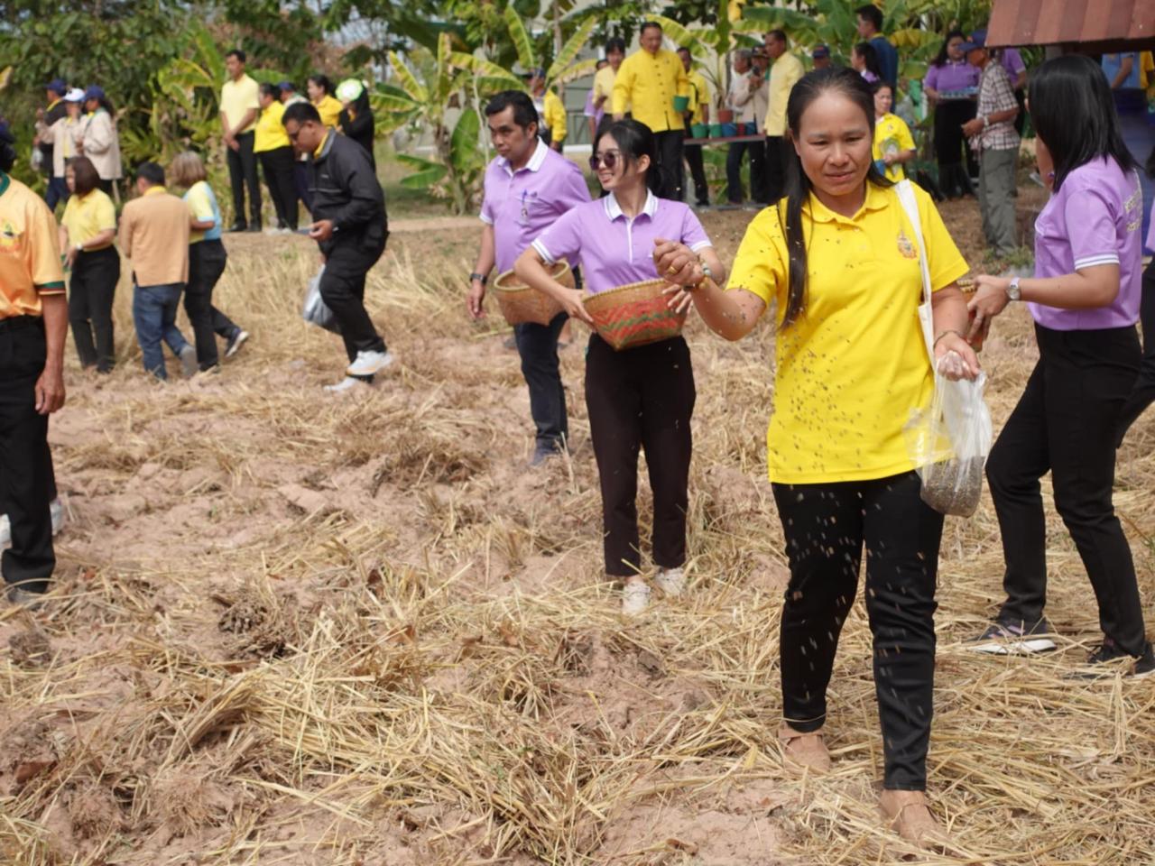ภาพประกอบที่ 12