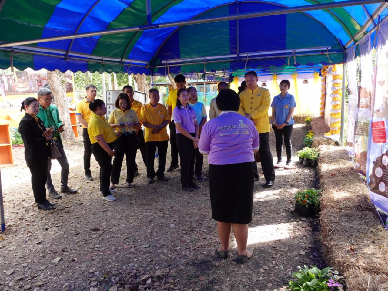 ภาพประกอบที่ 15