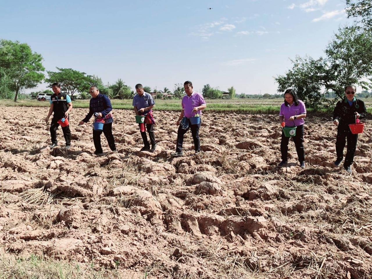 ภาพประกอบที่ 13