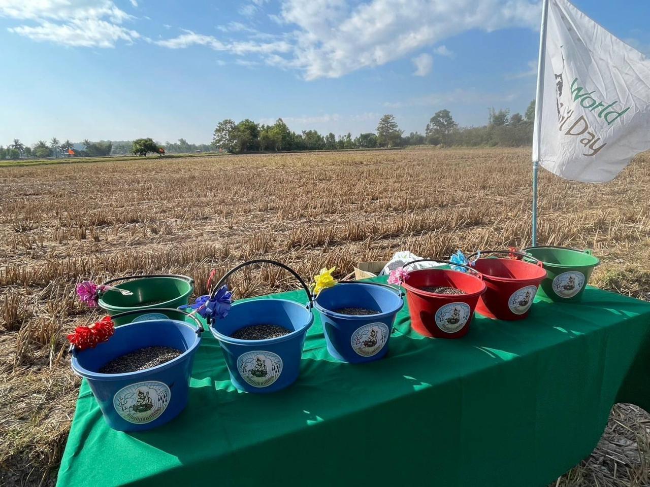 ภาพประกอบที่ 12