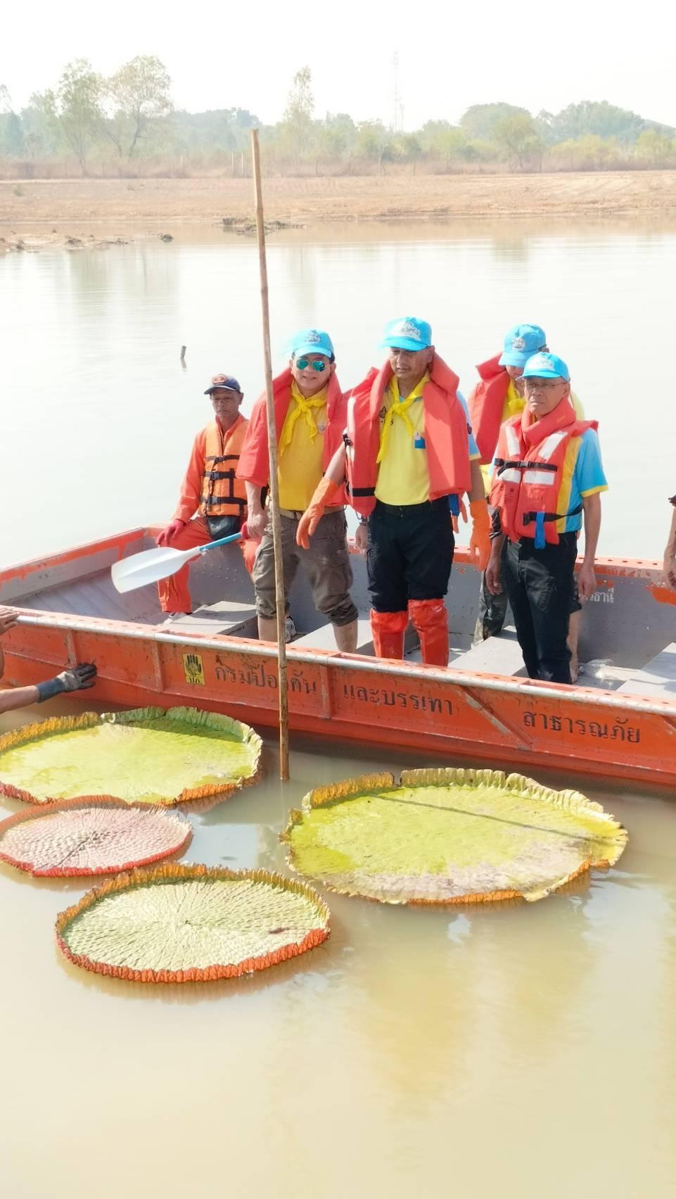 ภาพประกอบที่ 15