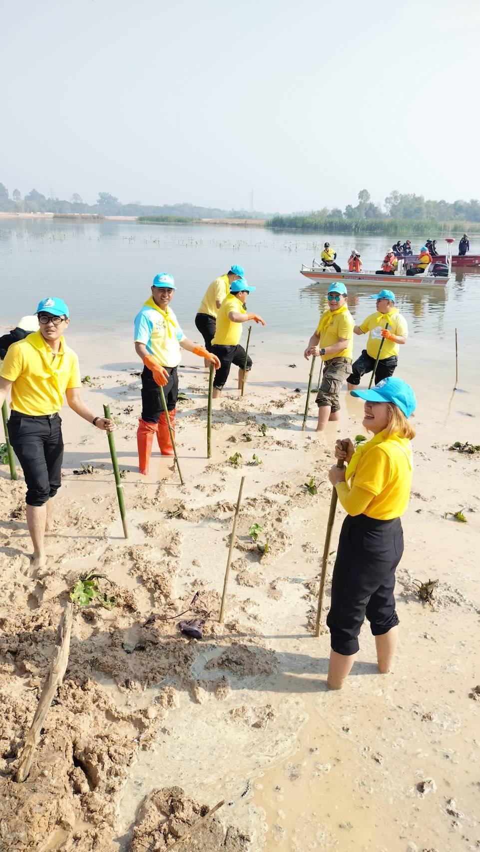 ภาพประกอบที่ 14