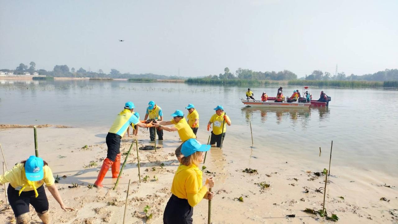 ภาพประกอบที่ 13