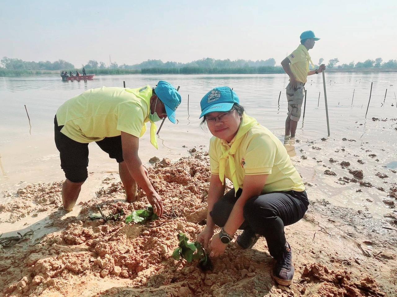 ภาพประกอบที่ 12