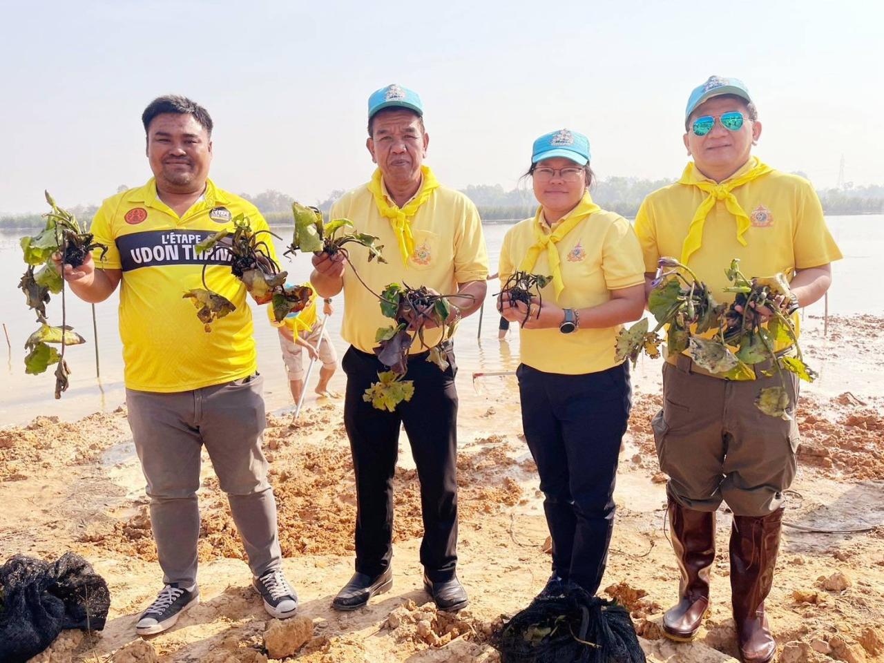 ภาพประกอบที่ 11