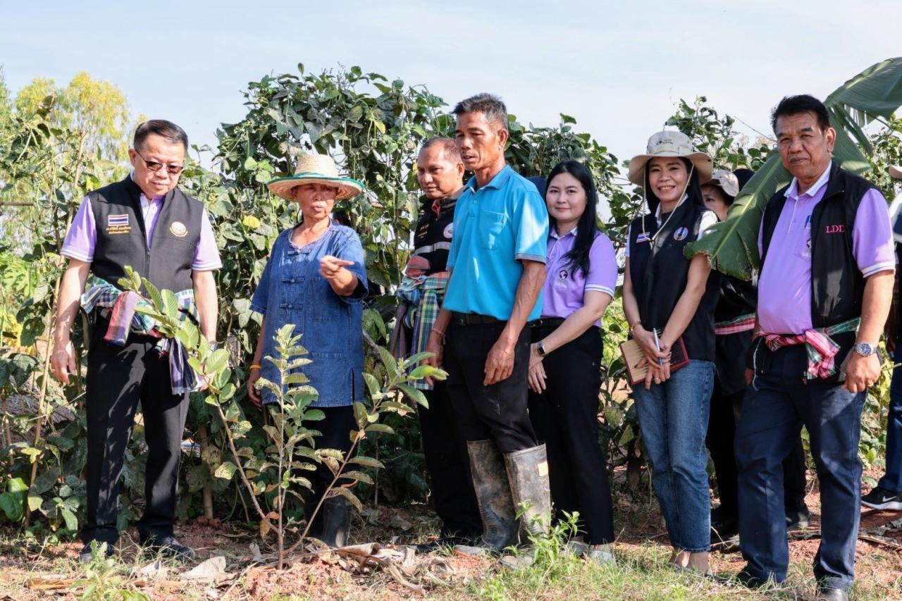 ภาพประกอบที่ 7