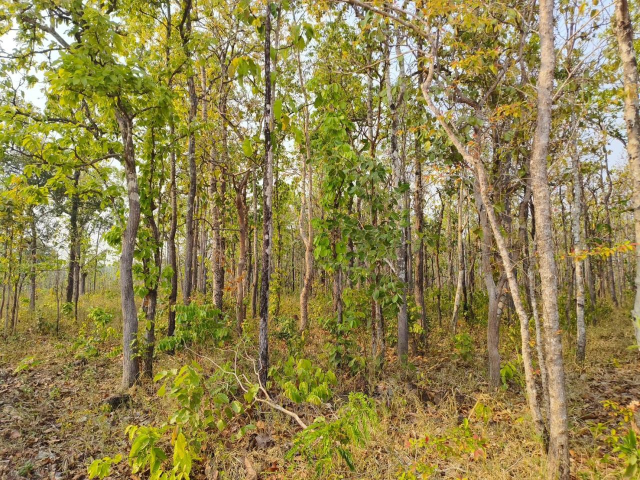 ภาพประกอบที่ 23