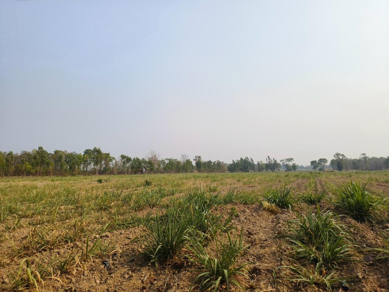 ภาพประกอบที่ 22