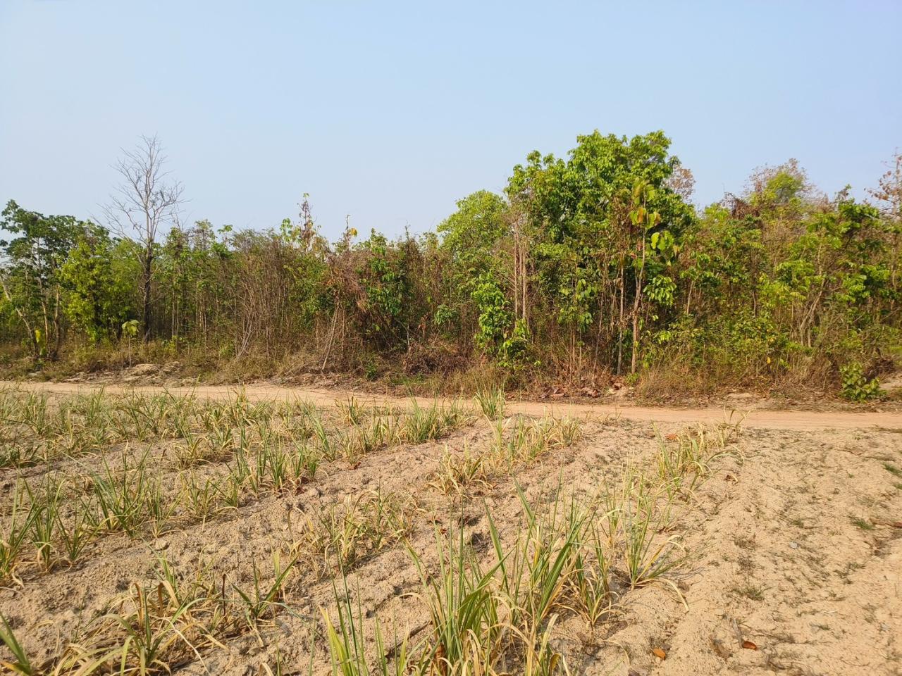 ภาพประกอบที่ 21