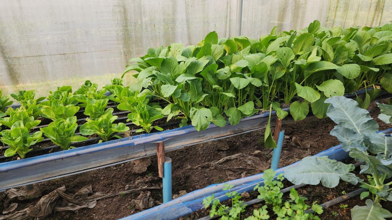 ภาพประกอบที่ 11