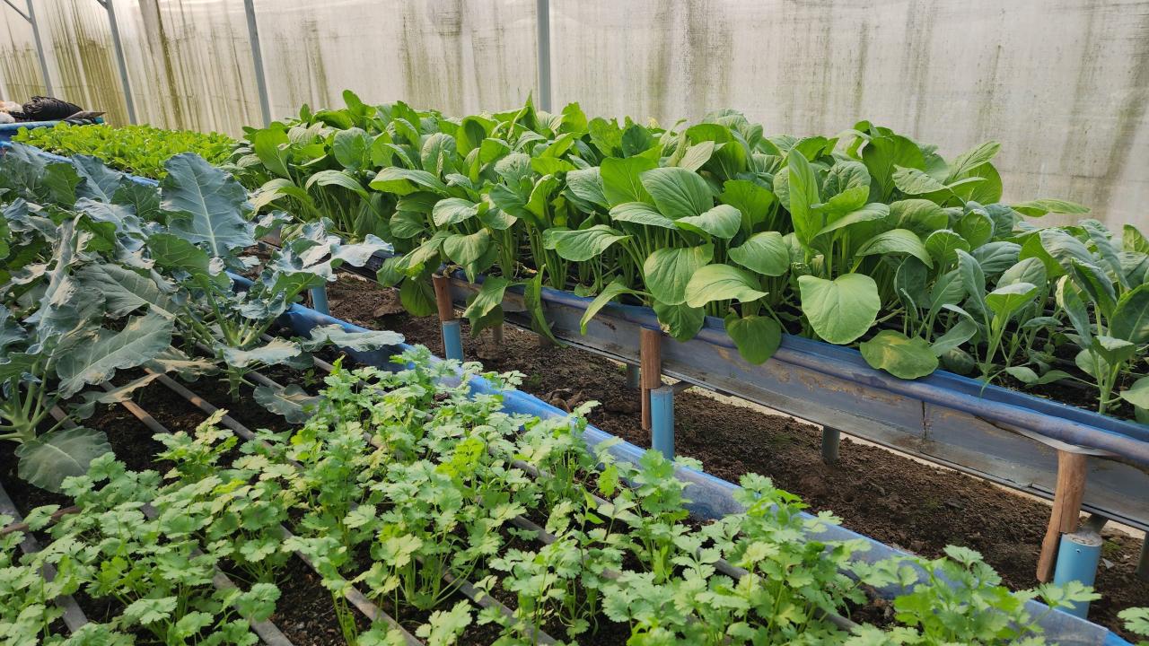 ภาพประกอบที่ 10