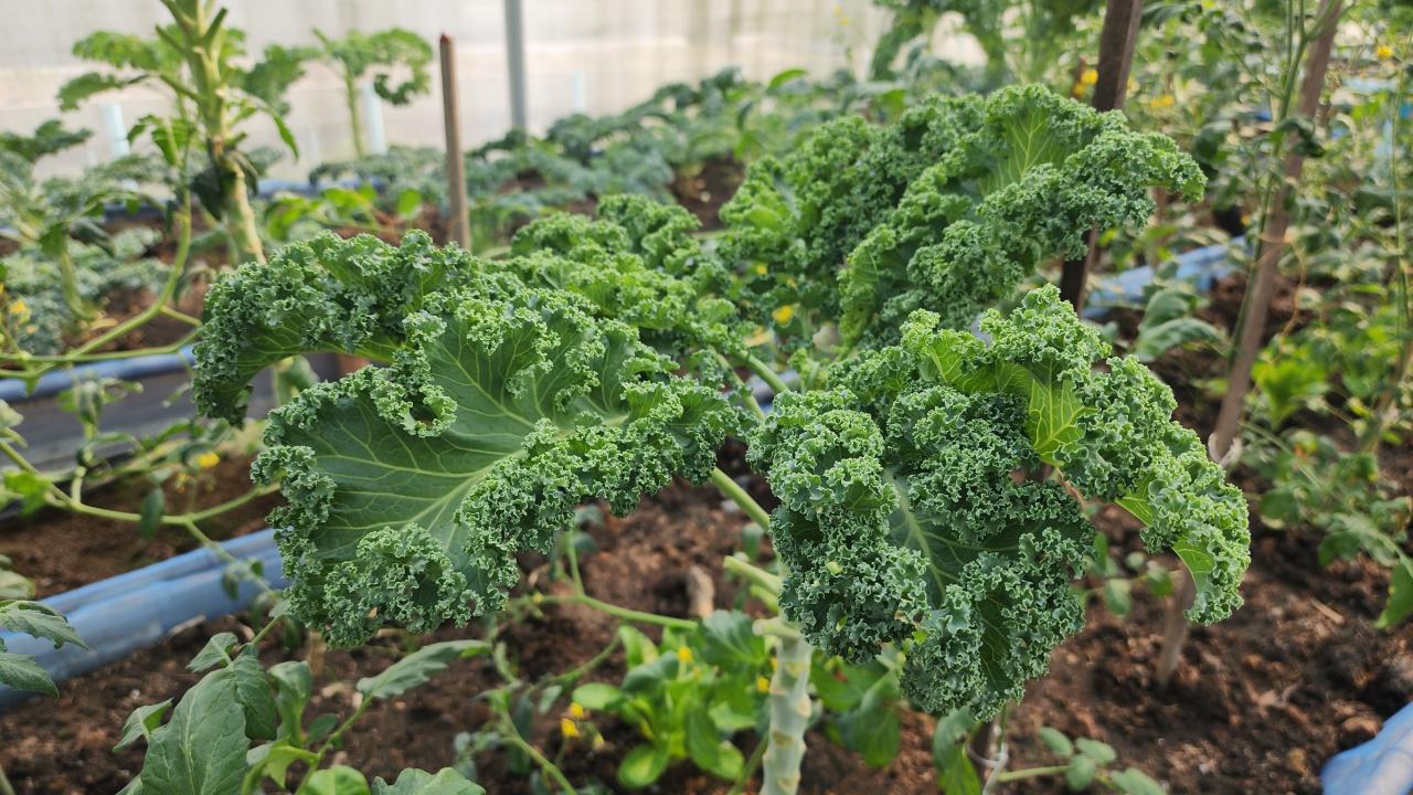 ภาพประกอบที่ 9